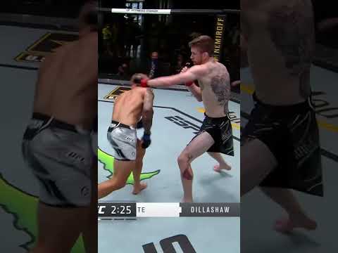 T.J. Dillashaw Vs. Cory Sandhagen