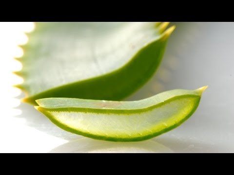 Aloe Vera Juice Recipe