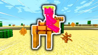 Minecraft Man Rides A Camel For 10 Minutes Straight