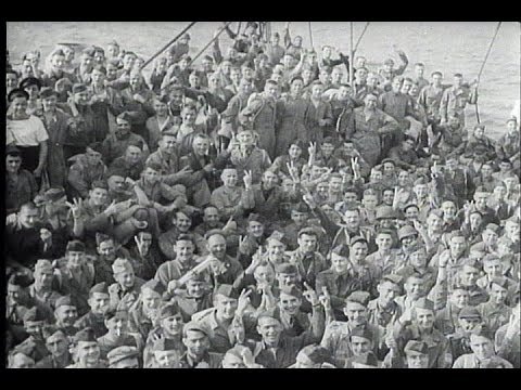 HD Historic Archival Stock Footage WWII - U.S. Troops Land In North Africa 1942