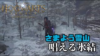 【ホグワーツレガシー】さまよう雪山唱える氷結【SPADE1136】