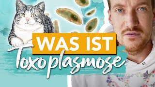 Toxoplasmose und Listeriose  I Schwangerschaft I Infektion