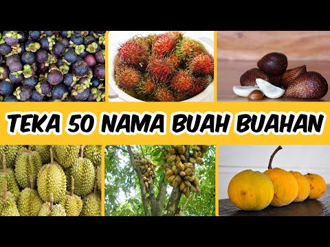 orang yang pernah makan buah ni mesti tahu namanya 😝 | Teka nama buah ni ⁉️