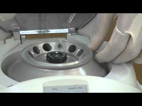 DNA Isolation Step 3: Precipitating the DNA