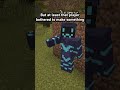 VILLAGE HOUSES SUCK