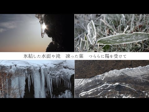癒し憩い画像データベース / 文学と画像