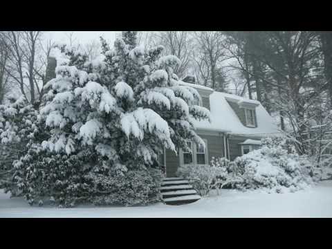 Winter Cabin in a Snowstorm | Falling Snow & Heavy Winds Blowing | Natural White Noise for Sleep