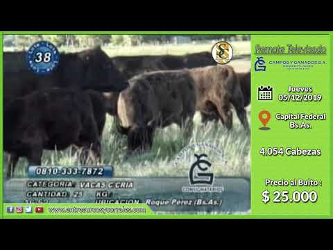 05-12-19 - Venta de Vientres - Remate Televisado de Campos y Ganados S.A. - Capital Federal