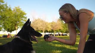 Monster K9   Solid Ball