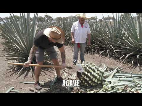 My Journey Of Beer, Wine, & Spirits 🍺 The Channel Explained (Stories Behind the Labels)