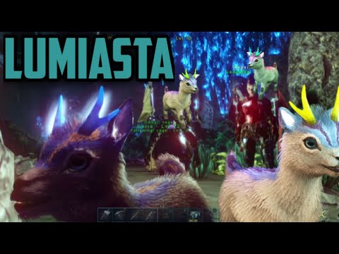 cómo tamear un Lumiasta / vaga