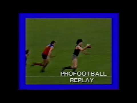 1986 Round 15 - Carlton vs Fitzroy - Waverley Park - Carlton Highlights Only