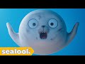 Baby Seal in Wonderland🎡 #031 | SEALOOK | EP.107