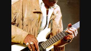 Chick Willis ~ Roll The Dice