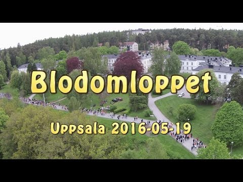 Blodomloppet Uppsala 2016