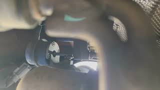 Jaguar Exhaust Squeak Repair