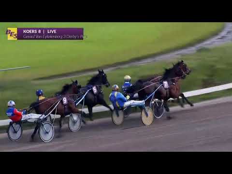 Duindigt 25 09 2022 Koers 8