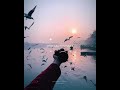 Yelo Pullelo Song WhatsApp Status Tamil