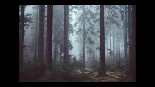 Walter Solo - Coming From Another World (Mario Lopez Remix) (2001)