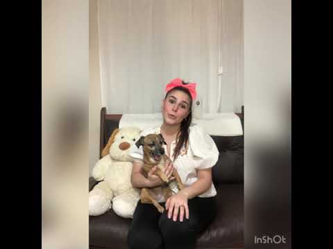 Argentina Au Pair Iara, 25 - EurAuPair Video Profile
