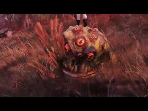 I Did It! Fallout 76 - I tamed my first pet for my camp. Thanks everyone who helped Animal taming