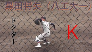 動画を再生