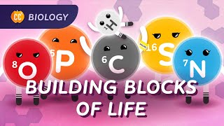 What is Life Made of? (Carbon & Biological Molecules): Crash Course Biology #20