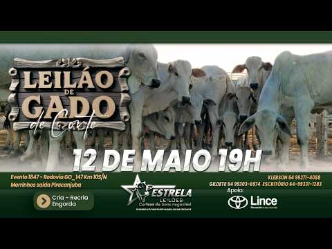 ESTRELA LEILÕES  - AO VIVO - 12/05/2026  -  19H - MORRINHOS - GOIÁS