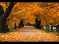 OST Autumn In My Heart Romance