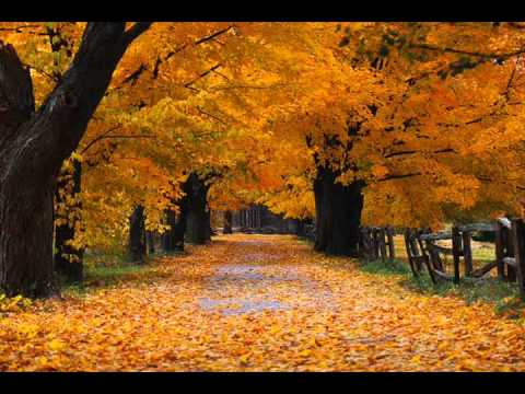 download lagu mp3 mp4 Download Lagu Ost Endless Love Romance guitar, download lagu Download Lagu Ost Endless Love Romance guitar gratis, unduh video klip Download Lagu Ost Endless Love Romance guitar