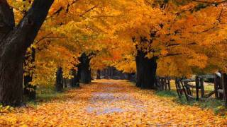 Download lagu OST Autumn in My Heart - Romance mp3 Download lagu OST Autumn in My Heart - Romance mp3