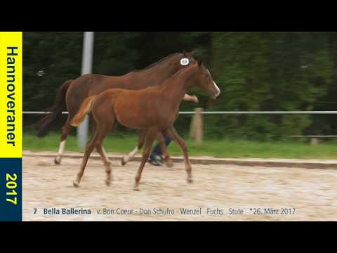 7   Bella Ballerina   v. Bon Coeur - Don Schufro - Wenzel