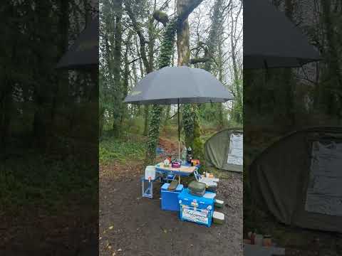 Carp Fishing in Dorking P1