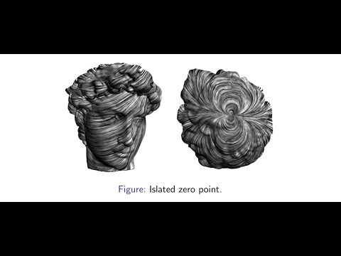 CCG Lecture 3:Fixed point, Poincare-Hopf Index theorem, Characteristic Class of Fiber Bundle