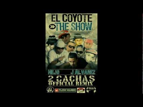 2 Cachas (Remix) - J Alvarez Ft Ñejo & Dalmata, Ñengo Flow, Chyno Nyno, Lui-G 21 Plus Y Guelo Star