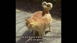 iLe -Extraña de querer