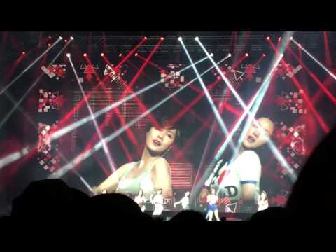 160402 Apink Pink Memory Day in Singapore: Cat