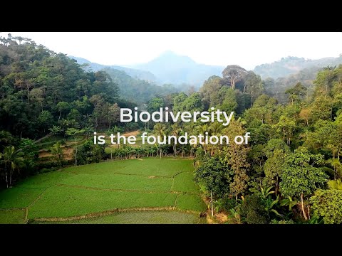 Agrifood systems solutions are biodiversity solutions
