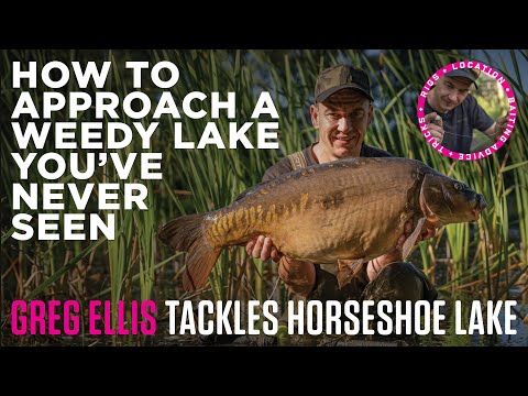 How to Tackle a Weedy Lake You've Never Seen Before | Greg Ellis | Carp Fishing