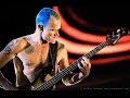Best Bass Riffs