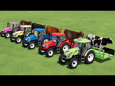 COLORED ZETOR TRACTORS TRANSPORT COWS TO HUSBANDARY | Farming Simulator 22