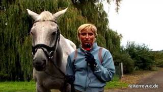 Video koně Sleep Late