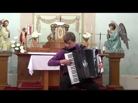 DEMENIV MIHÁLY / Petri Makkonen - ...Like Swans