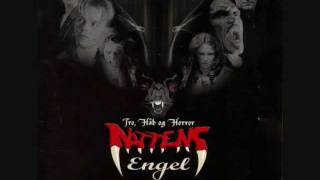 #06 True Believer (D-A-D) - Soundtrack Nattens Engel.wmv