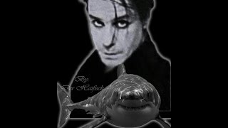 Der Haifisch Subtitulos Aleman Español