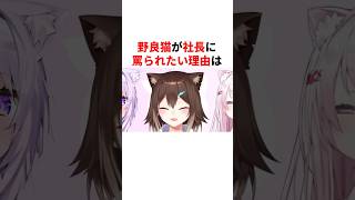 野良猫が加賀美ハヤト社長に罵られたい理由は？　#youtuber#vtuber#雑学#豆知識