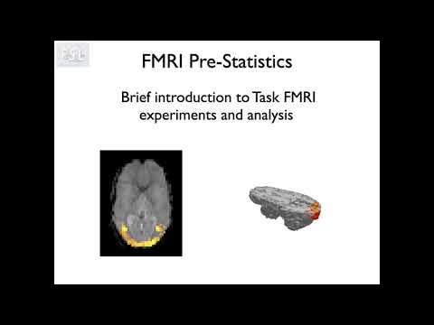 11. FMRI1: Introduction to Task FMRI Experiments and Analysis (Fmri1 E1)
