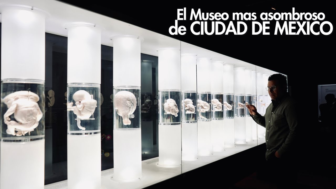 El mejor museo de Ciudad de México .. ..pero que casi nadie visita.