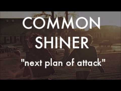 Common Shiner 