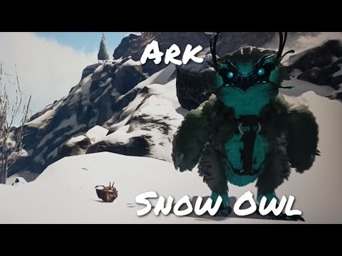 Ark Snow Owl Taming...quite a game of cat and mouse.
